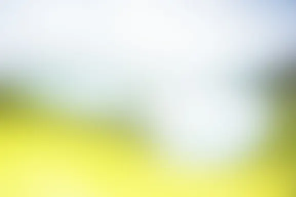 Mint Casino Assistance